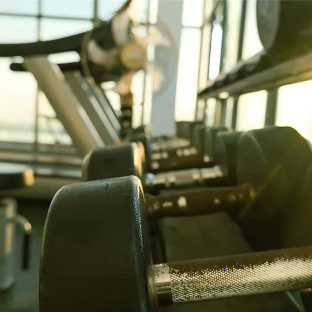 Western Parkhotel فندق